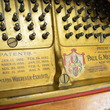 1906 Mehlin & Sons grand - Grand Pianos